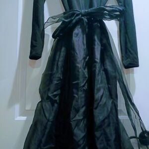 Eileen West Black Long Sleeve Gown, Vintage